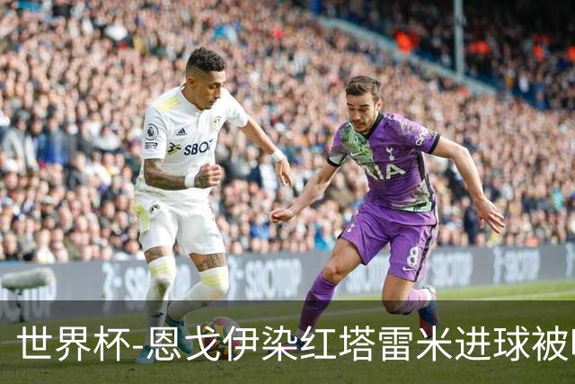 世界杯-恩戈伊染红塔雷米进球被吹 10人比利时0-0伊朗